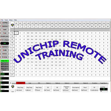 Unichip telephone support and remote 1 Hour